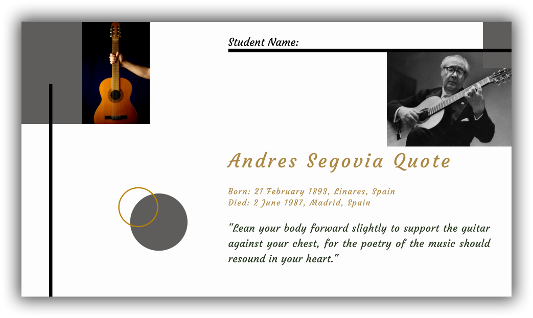 Classical Guitar Progress Summary Reports