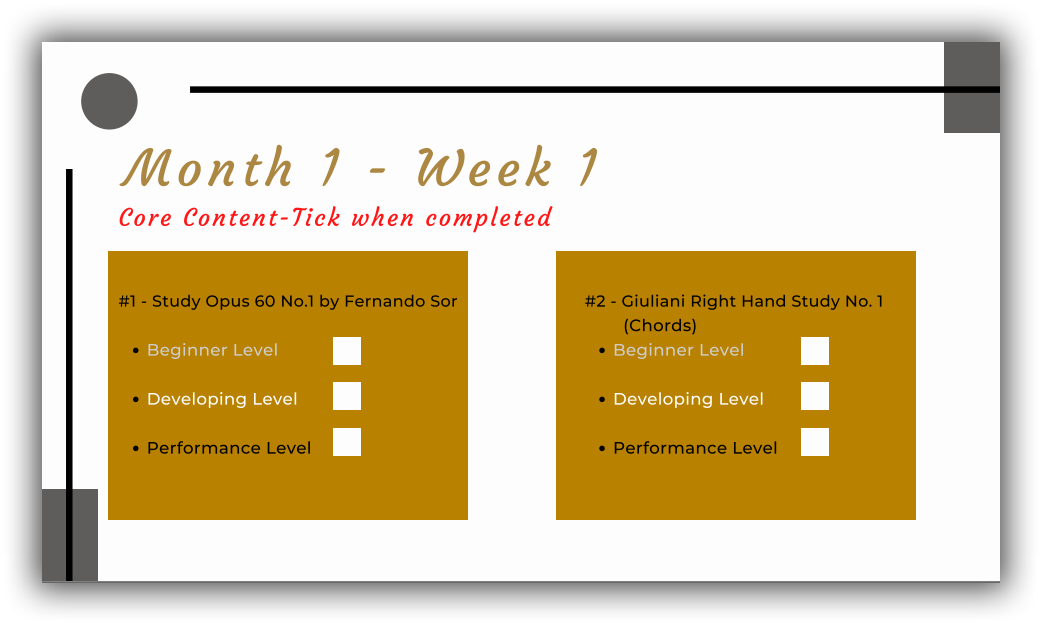 Classical Guitar Progress Summary Reports