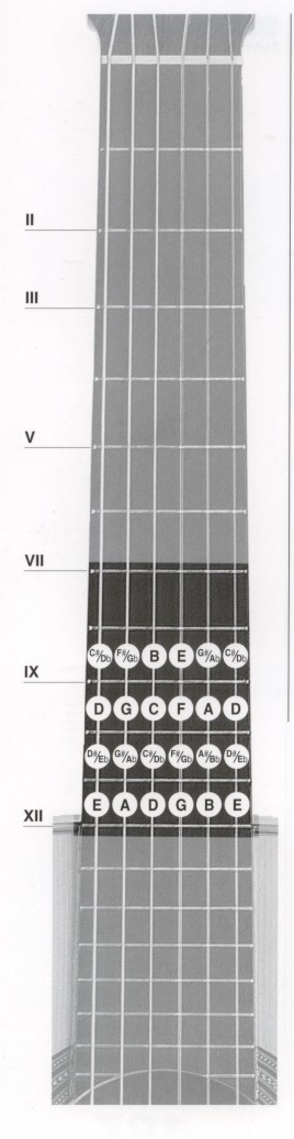 The Guitar Fretboard